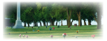 Learn How to save money on funeral costs